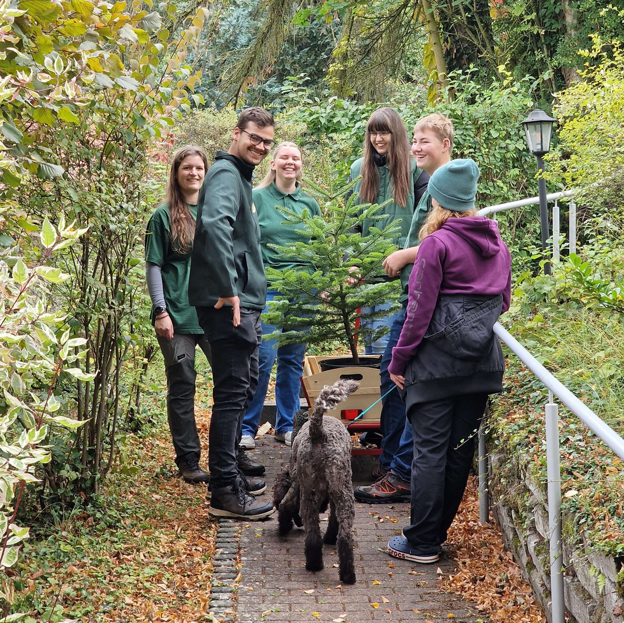 Auf dem Bild sind Jugendliche zu sehen, die zusammen um einen Bollerwagen stehen, wo ein kleiner Tannenbaum drinsteht. Ein Hund steht vor dem Bollerwagen.