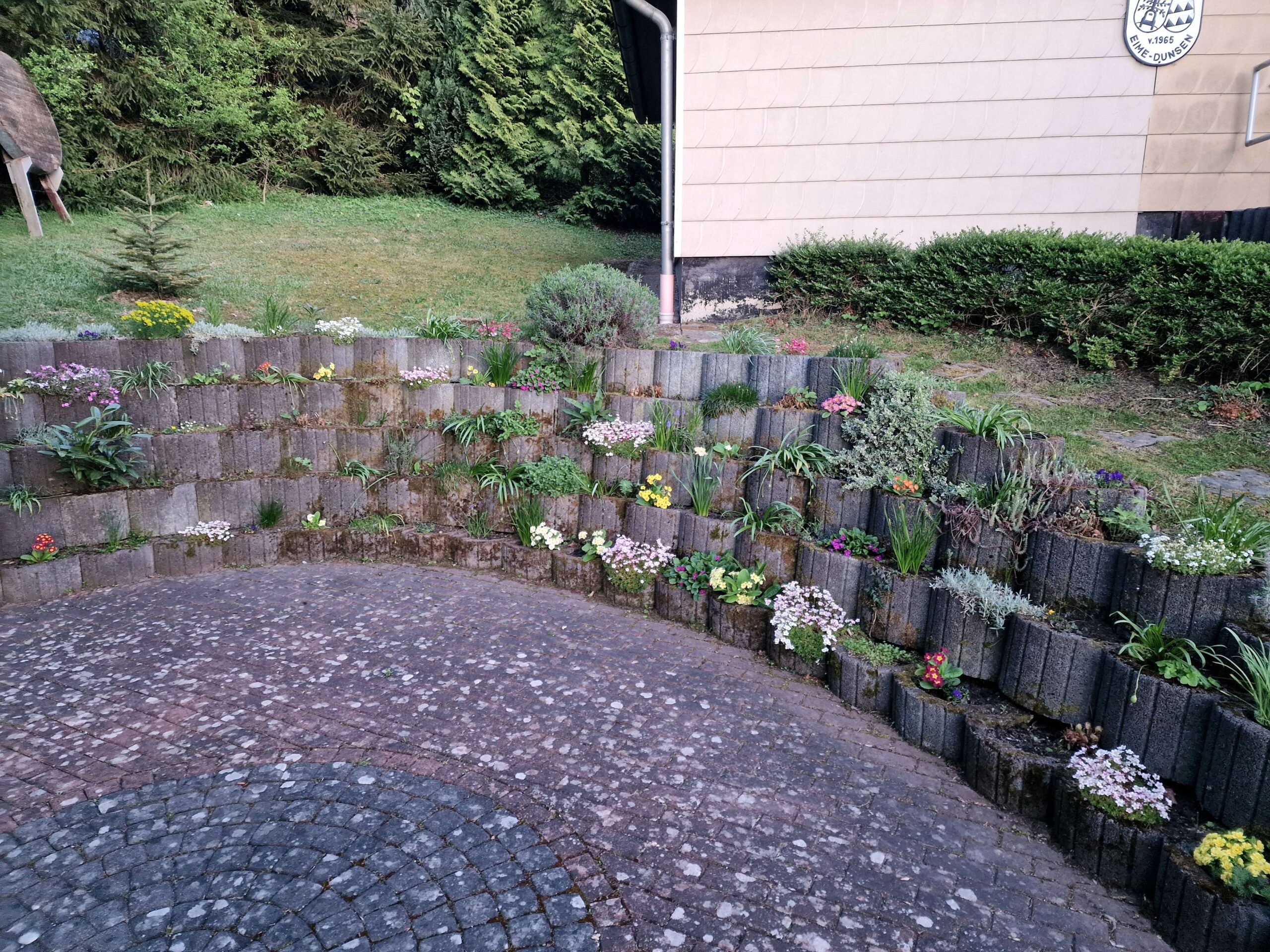 Auf dem Bild ist eine Terrasse mit Blumenkübeln zu sehen. Die Blumenkübel sind mit Blumen bepflanzt. Im Hintergrund sieht man Rasen, Bäume und einen Teil eines Hauses.